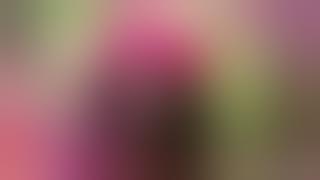 GOLI KONDA ROKKE || DJ E || GRC ENTERTAINMENT || DJ.REMIX.FM.COM.MY