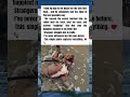My Dog’s First Time at the Beach… and He Completely Lost It 🐶🌊😂🇺🇸