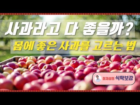 올리브오일 추천