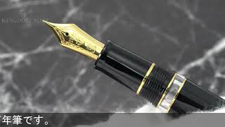 SAILOR セーラー 万年筆 プロフィット レアロ ブラック 中字