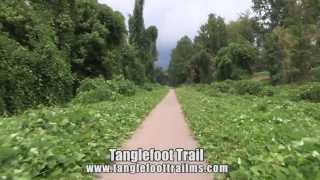 Tanglefoot Trail