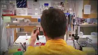 Huvudlöss Och Hur Man Blir Av Med Dem