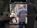 pandas reaction at the end 😂😂😂 #funny