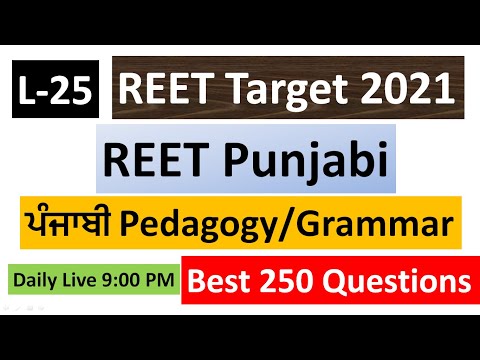REET Punjabi Previous Year| Punjabi Grammar and Pedagogy| REET Target 2021| L-25