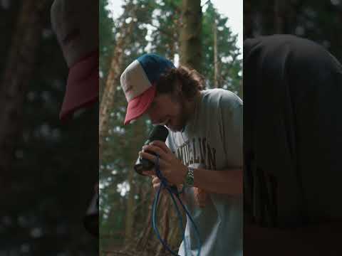 Hot Mulligan - How Do You Know It's Not Armadillo Shells? (Cover)