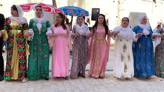 Şırnak Düğünleri Umut Yardımcı Düğünü Yardımcı Ailesinin Mutlu Günü Part 1