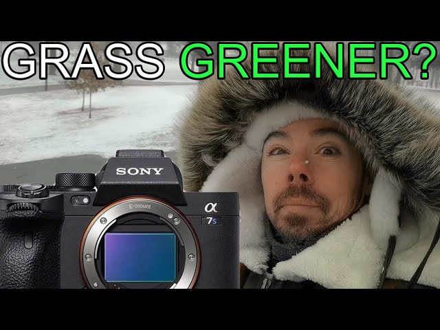Sony a6100 Camera Review 2022  Pros, Cons, and Comparison — Eightify