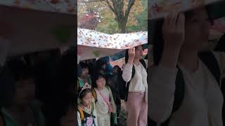 폭우 속 유치원 귀요미들, Kindergarten students in heavy rain