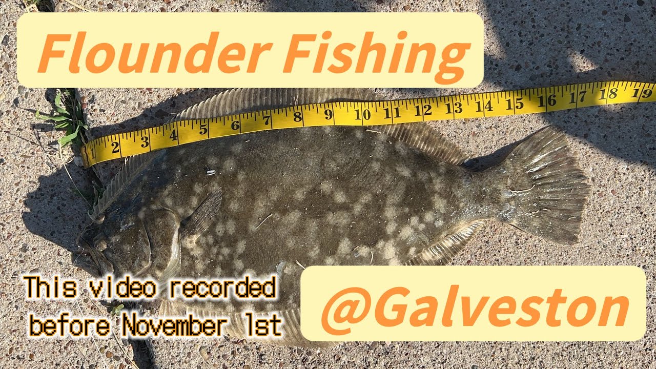 Flounder fishing at Galveston YouTube