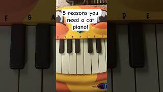Famous 5 Reasons You Need a Cat Piano #catpiano #music #instrument Net Worth