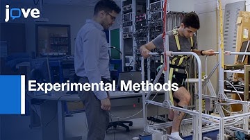 Experimental Methods To Study Human Postural Control l Protocol Preview