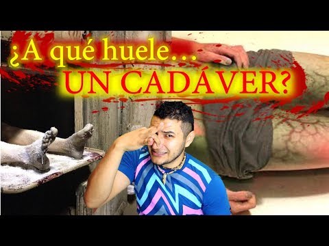 Vídeo: Diferencia Entre Cadáver Y Cadáver