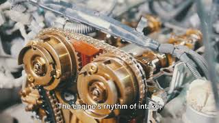 Mastering the Machine  A Deep Dive into