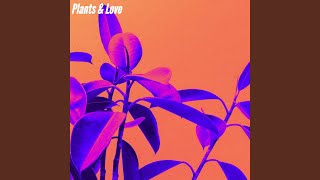 Pulsating Ambience for Light Afternoon