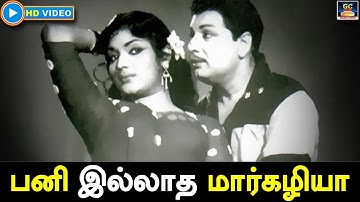 பனி இல்லாத மார்கழியா | Paniyillatha Margazhiya Song HD | Anandha Jothi | MGR | Devika | HD.