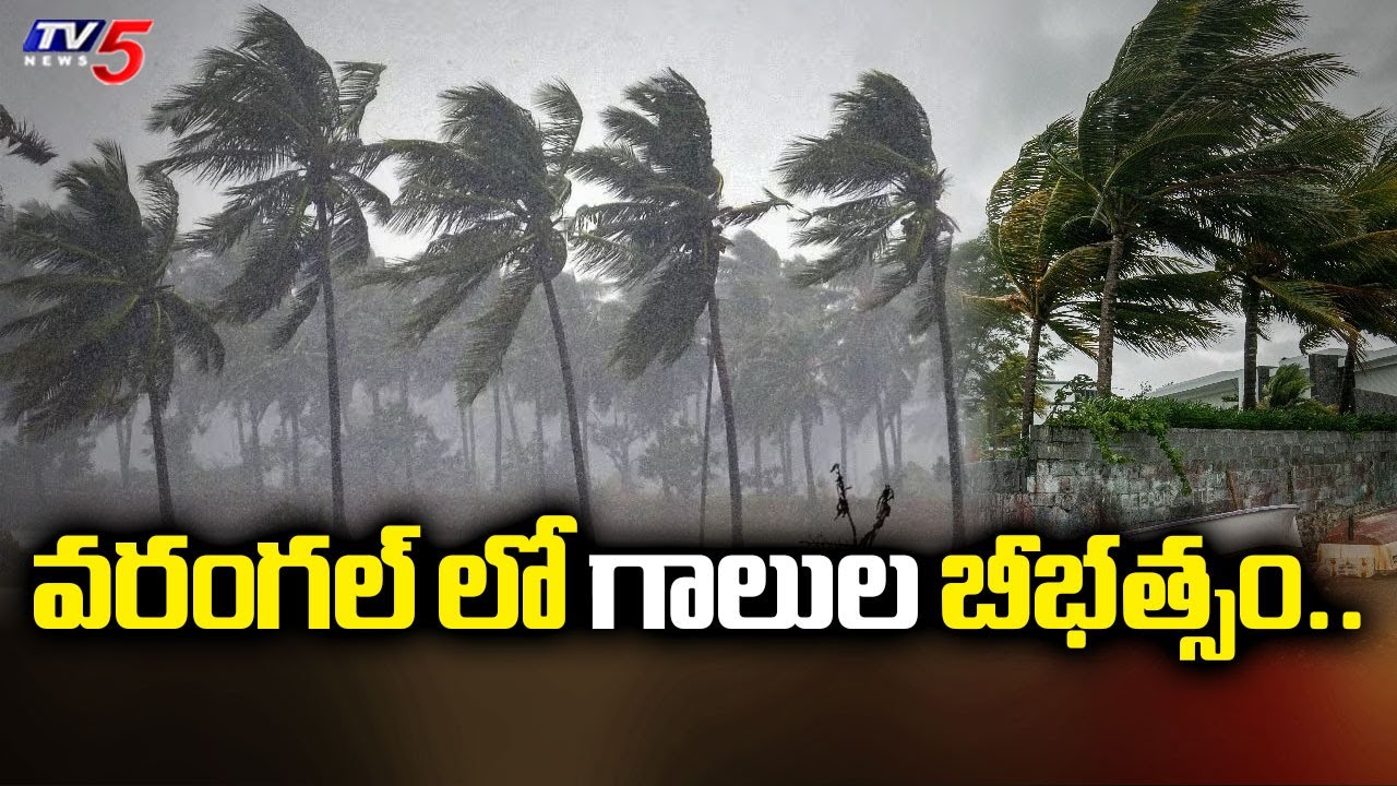 వరంగల్ లో గాలుల బీభత్సం..Cyclone Montha Effect On Warangal district | TV5 News