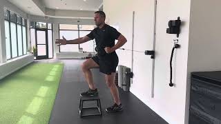 Front Foot Elevated Single Arm Cable Press
