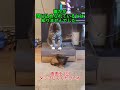 誰かが閉じ込められているとは知りませんでした…