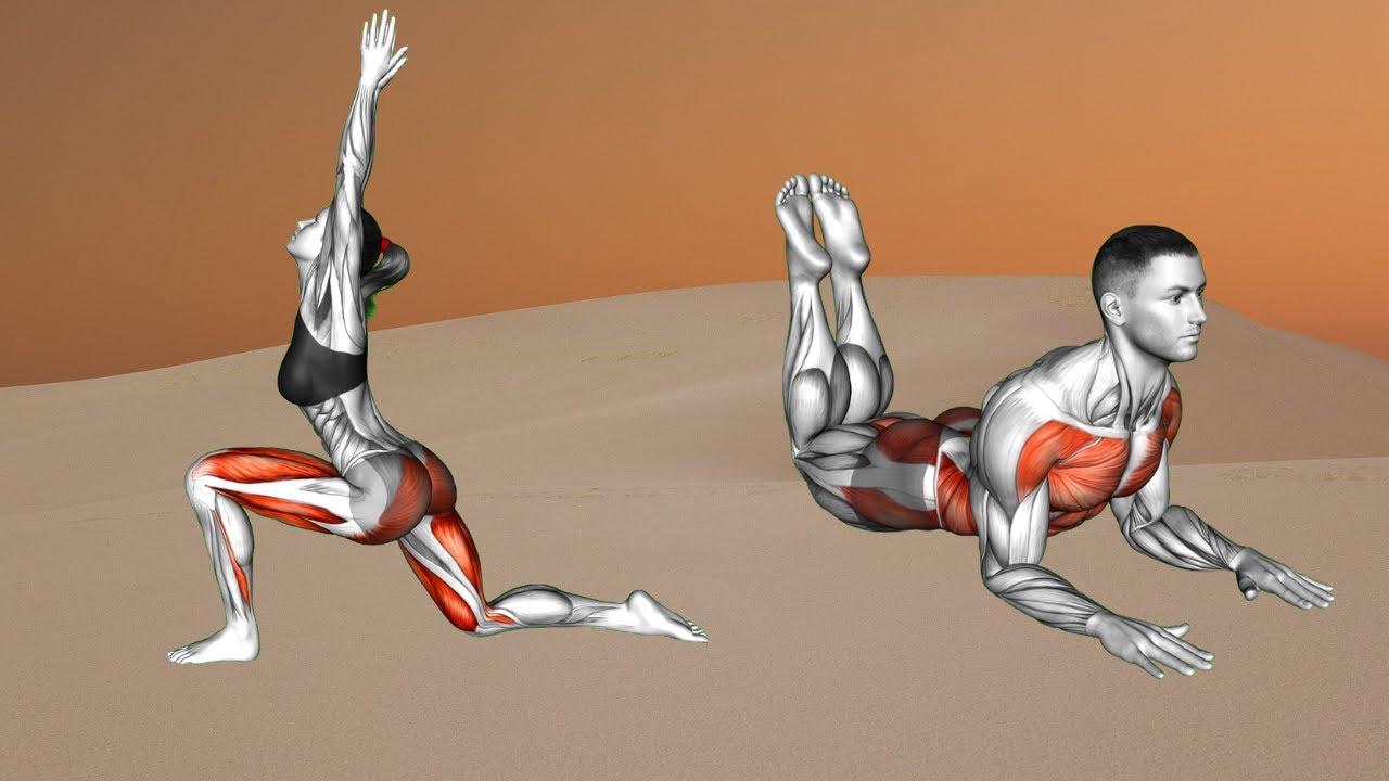 The Science of Stretching: 8 Moves for Functional Mobility.