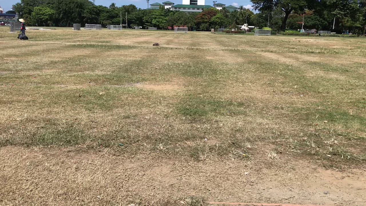 XLH 9125  1/10 scale 4WD