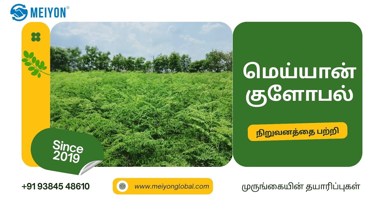 மெய்யான் குளோபல் (Meiyon Global) -Moringa Value added products (முருங்கை மதிப்புமிக்க பொருட்கள்)