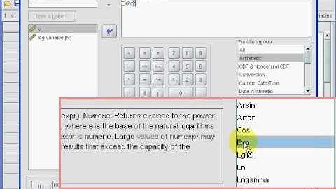 SPSS for newbies: log transformation