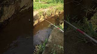 Mancing di Selokan