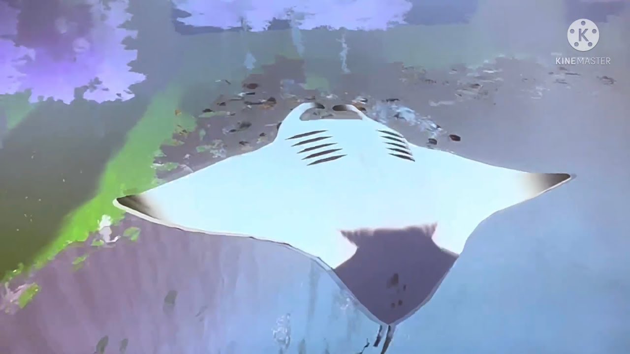 ABZÛ - Playful Manta Ray