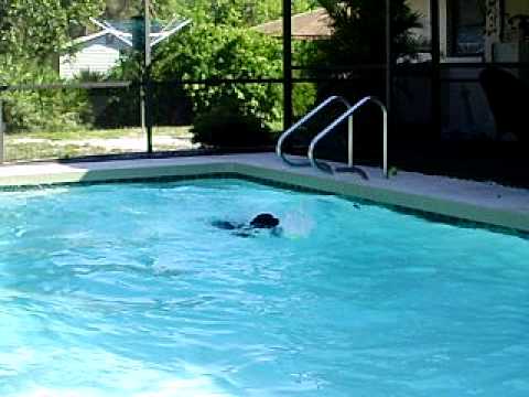 jenny in the pool jenny in the pool #1