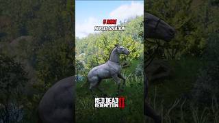 5 Rare Horses Location RDR2