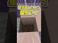 〇〇した人の星野アイ2 #マインクラフト #ゆっくり実況 #ドット絵 #minecraft #ツール #推しの子#pixelart #shorts #short
