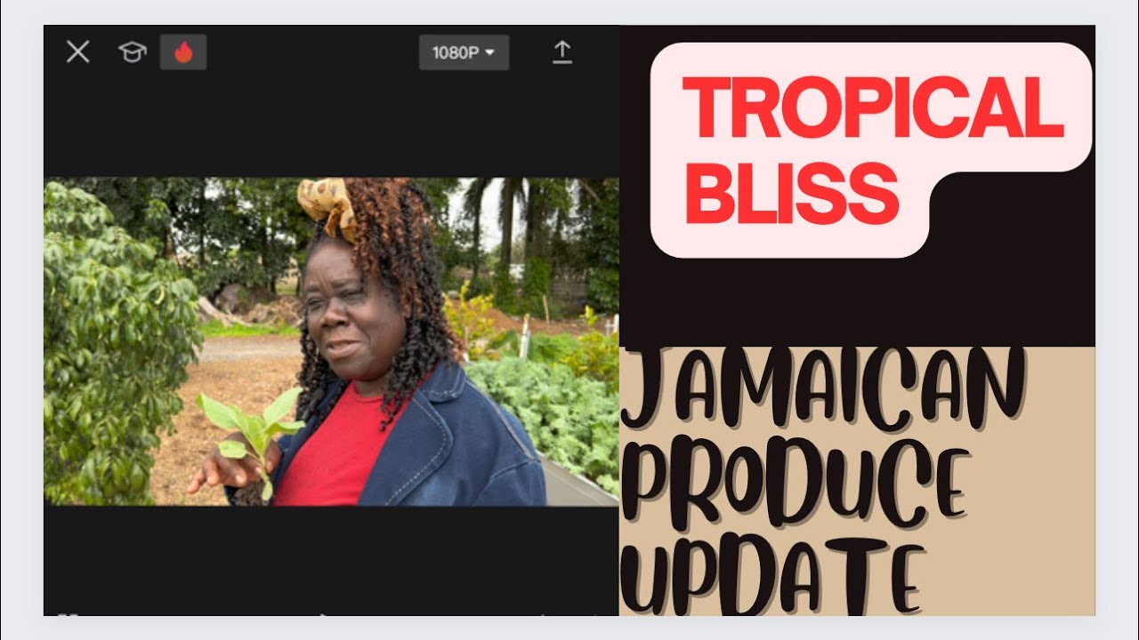 Tropical Bliss Jamaican Produce Update YouTube