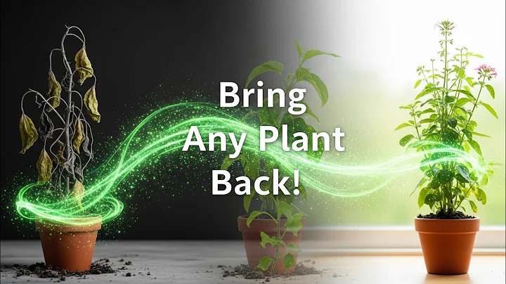 How to Revive Any Dying Plant With This Simple Trick (Works Every Time!)