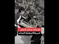هامل بل ضهر اسهام صحباني