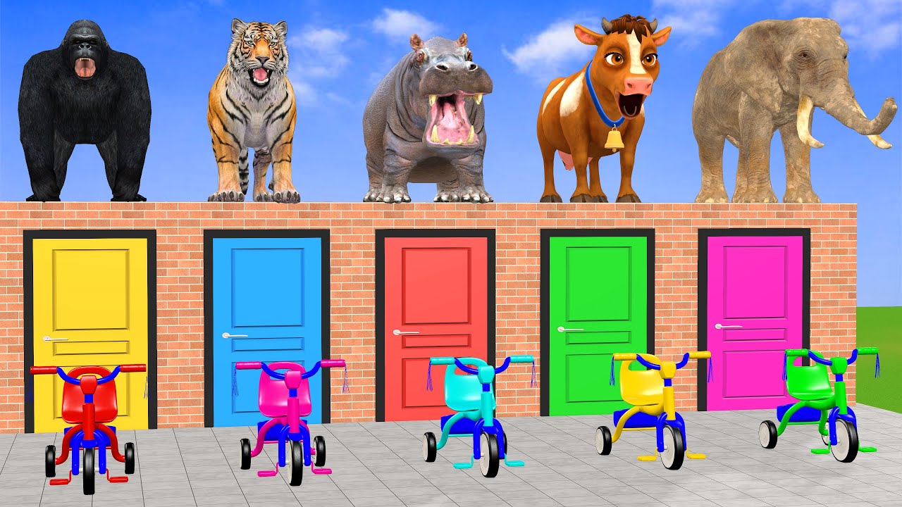 Long Slide Game with Cow Elephant Gorilla Hippopotamus Tiger 3d Animal Game Funny 3d Animals