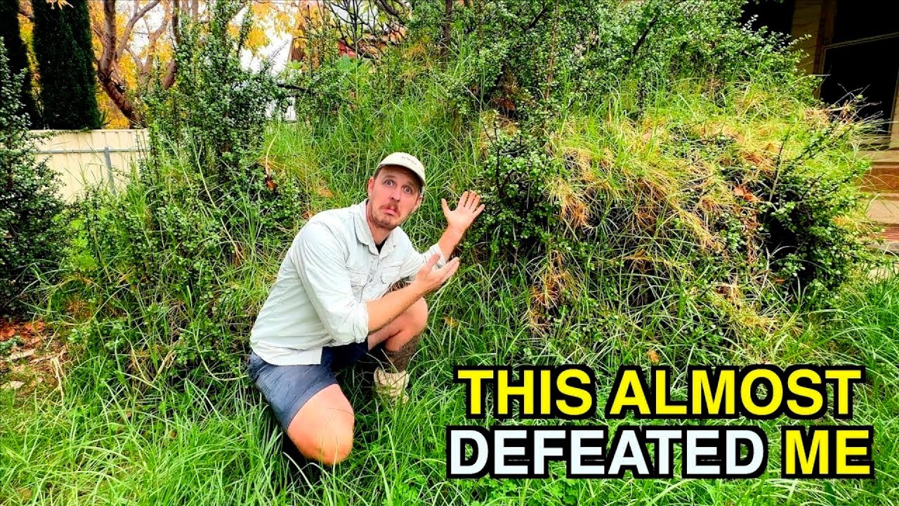 This WAS the WORST garden on the block! - Homeowner left SPEECHLESS!