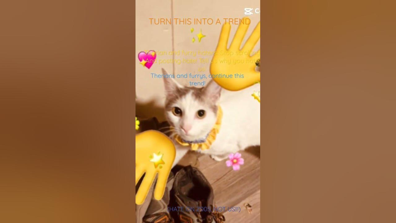 I hope it helps! 🦅 \, / pt.2? #CapCut #fypシ #therian #catsoftiktok #ca