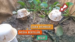 Pemula Wajib Tau Cara Membuat Media Bertelur Belut Pake Pipa Peralon