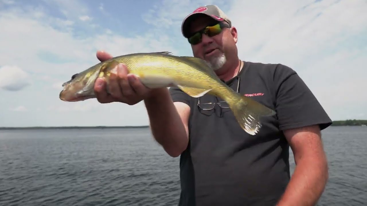 Weed Line Walleye