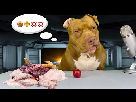 【ASMR】りんごを食べさせたい飼い主vs絶対にりんごを食べない犬！動物の咀嚼音、音フェチにオススメの動画！