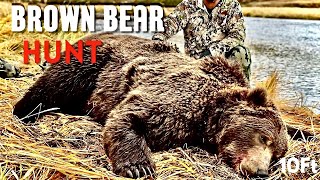 10ft Monster BROWN BEAR HUNT  -- Outfitter.Services