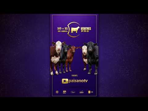 Remate Vientres PRO | Soc. Agropecuaria de Rocha