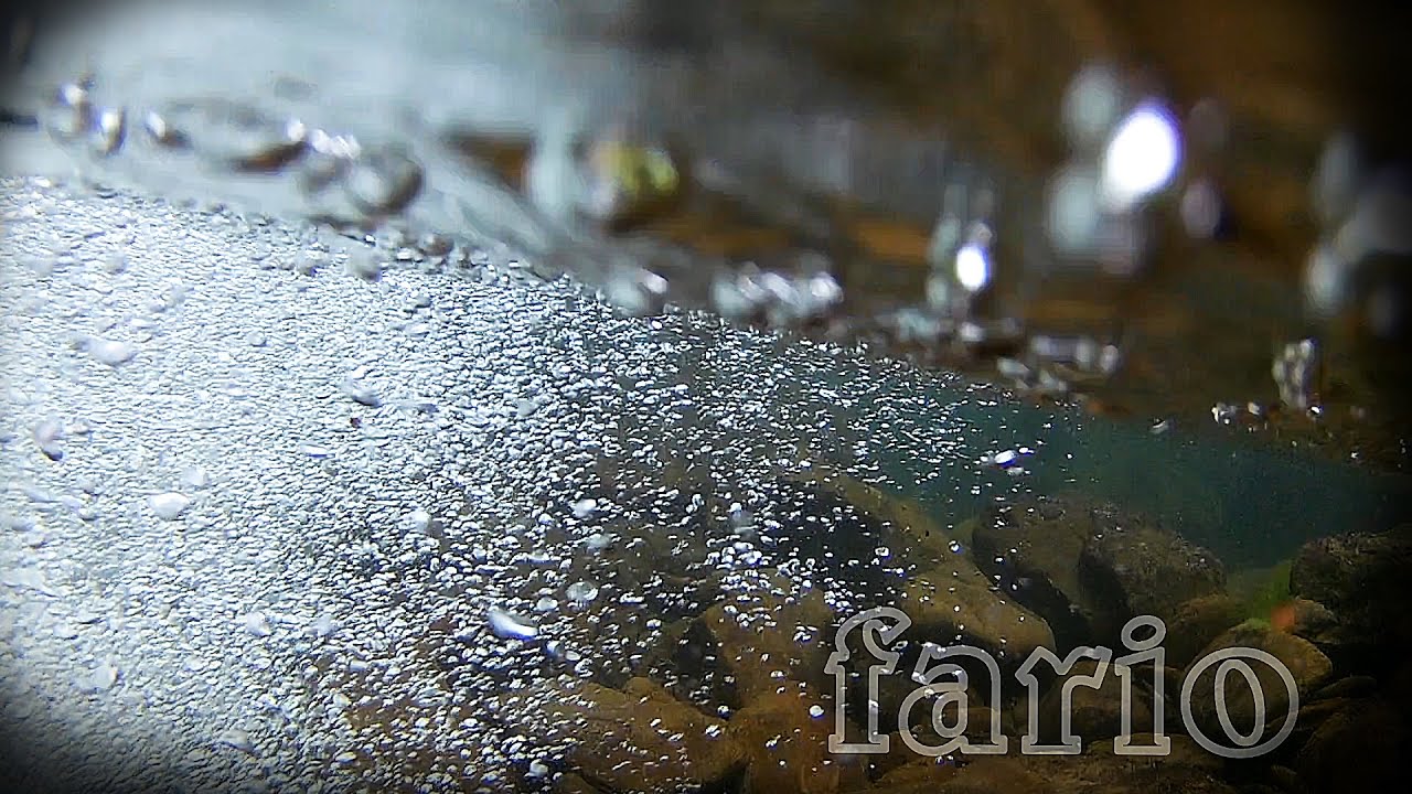 fario.Ep165
