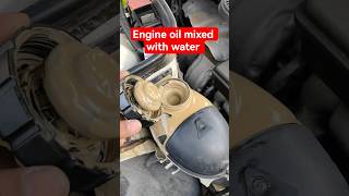 Engine Cooler Leak #automobile #mechanic #mechaniclife #oilcooler #oilchange