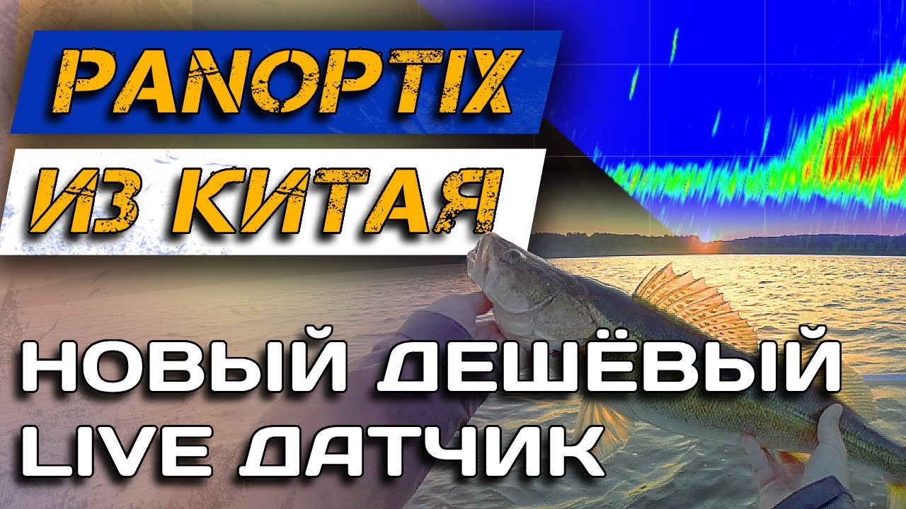НОВЫЙ БЮДЖЕТНЫЙ ПАНОПТИКС прямо в ТЕЛЕФОНЕ! Accuphy PingLive Mini. Аналог Lowrance Eagle Eye.