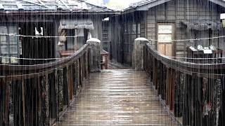 Clear Rain Sounds on a Wooden Bridge 🍃 Healing Compass: Serenity on a Rainy Day | White Noise