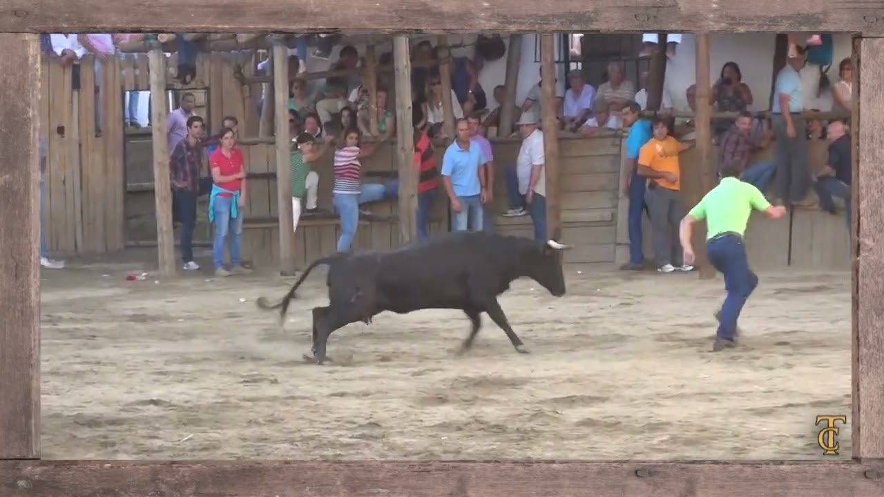 [MEJORES MOMENTOS] Capeas Segura de León 2013 17. José María Garrido