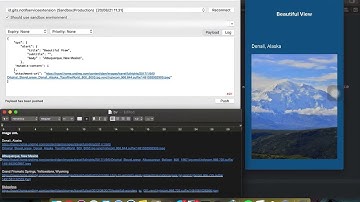 iOS Notification Service Extension Demo (Code in Description)