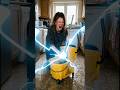 Shark Steam &amp; Scrub 25% OFF Limited Time #amazonfinds #cleaninghacks #steammop #amazondeals