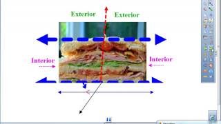 Day 1 video notes   parallel lines cut by transversal
